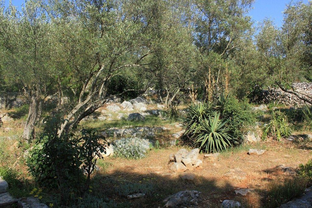 Secluded Fisherman'S Cottage Cove Magrovica - Telascica, Dugi Otok - 8142 Sali Ngoại thất bức ảnh